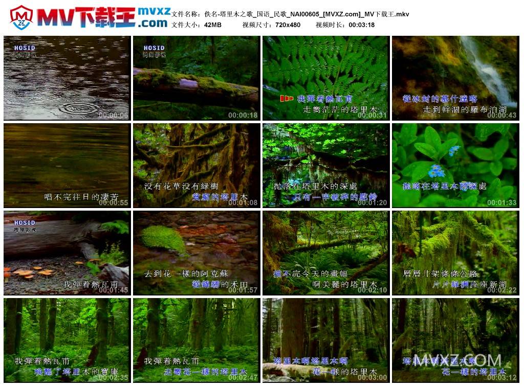 佚名-塔里木之歌_国语_民歌_NAI00605